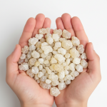 Mains jointes tenant de l'oliban pur naturel, résine d'encens premium pour purification et bien-être
