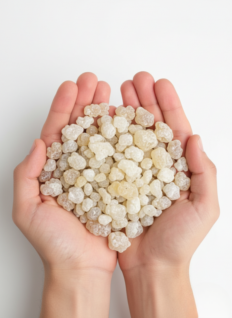 Mains jointes tenant de l'oliban pur naturel, résine d'encens premium pour purification et bien-être