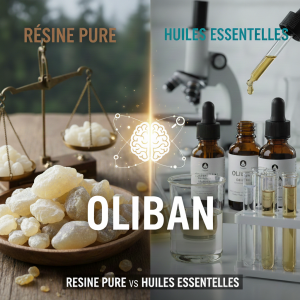 Comparaison visuelle des bénéfices Oliban : résine pure Hojari sur balance (Acides Boswelliques) et huile essentielle en laboratoire (Volatils)
