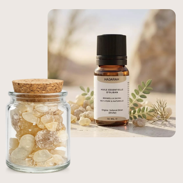Pot d oliban Hojari 30 g et flacon d huile essentielle d oliban Hajarah
